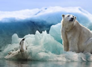 La Antártida está ganando más hielo del que pierde, dice nuevo estudio de la NASA