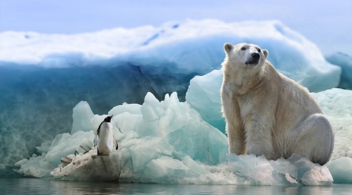La Antártida está ganando más hielo del que pierde, dice nuevo estudio de la NASA