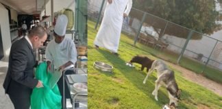 Lujoso hotel evita desperdiciar la comida que les sobra y lo dona a un refugio para perros abandonados