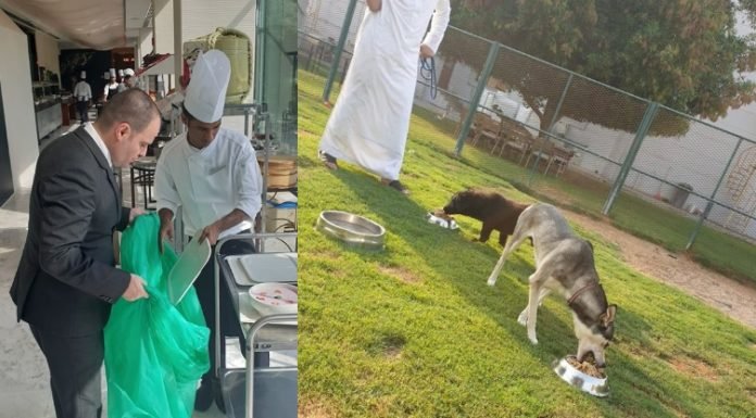 Lujoso hotel evita desperdiciar la comida que les sobra y lo dona a un refugio para perros abandonados