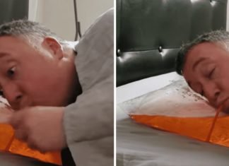 La nueva almohada de cerveza llegó para alegrar tus días. Te ayudará a dormir mejor por las noches