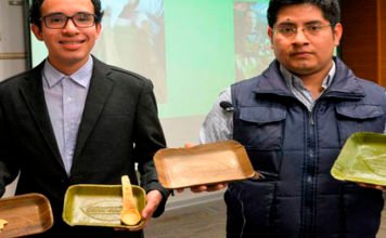 Usando hojas de plátano, peruanos crean platos que se descomponen en 60 días