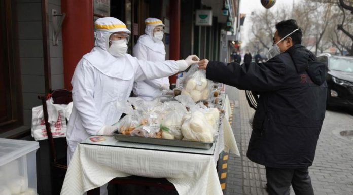China prohíbe «completamente» comercio y consumo de animales salvajes
