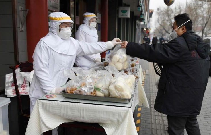 China prohíbe «completamente» comercio y consumo de animales salvajes