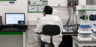 Por error, descubren potencial cura contra el cáncer
