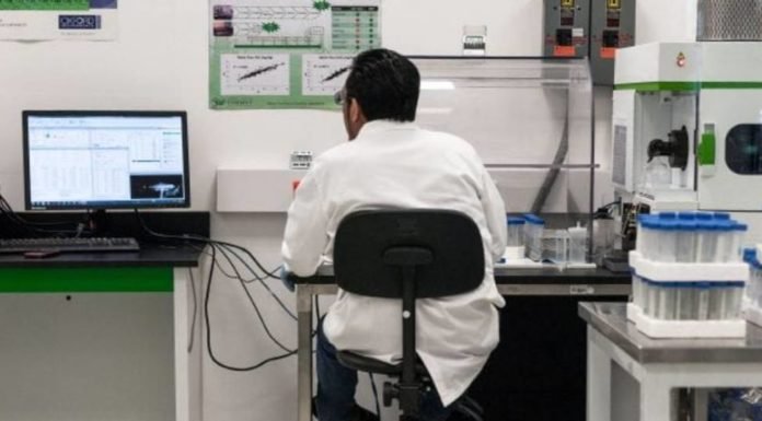 Por error, descubren potencial cura contra el cáncer