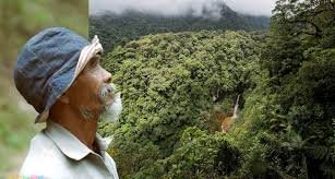 Un abuelo de 68 años sembró unos 11 mil árboles para traer de vuelta el agua al bosque