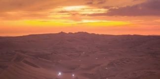 Oasis de Huacachina vuelve a ser el hogar de aves durante Cuarentena