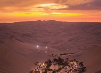 Oasis de Huacachina vuelve a ser el hogar de aves durante Cuarentena