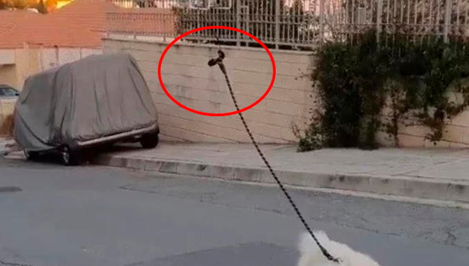 Coronavirus: hombre usa un drone para pasear a su perro, sin romper cuarentena