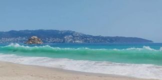 Mar de Acapulco se «cristaliza» ante ausencia de turistas