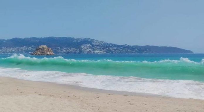 Mar de Acapulco se «cristaliza» ante ausencia de turistas