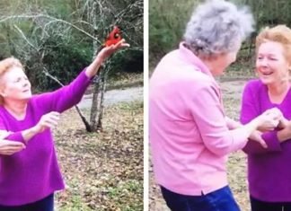 Familiares reciben visita de un misterioso y amigable pájaro durante un funeral