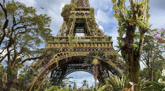 Así se vería París si no estuviese habitada por humanos nunca más