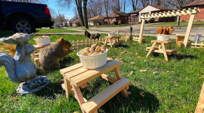 Este estadounidense construyó un mini restaurante en su jardín para ardillas.