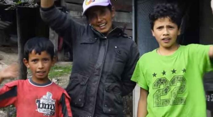 Del campo a Youtube: campesinos enseñan cómo hacer huertos en casa