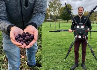 En Canadá Usarán Drones Para Plantar Mil Millones De Árboles