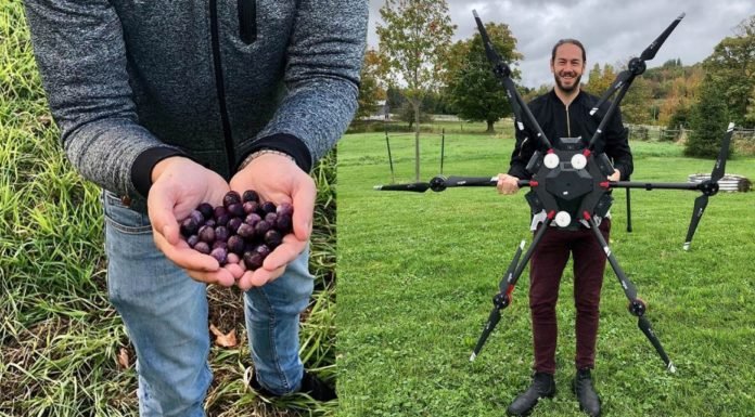 En Canadá Usarán Drones Para Plantar Mil Millones De Árboles