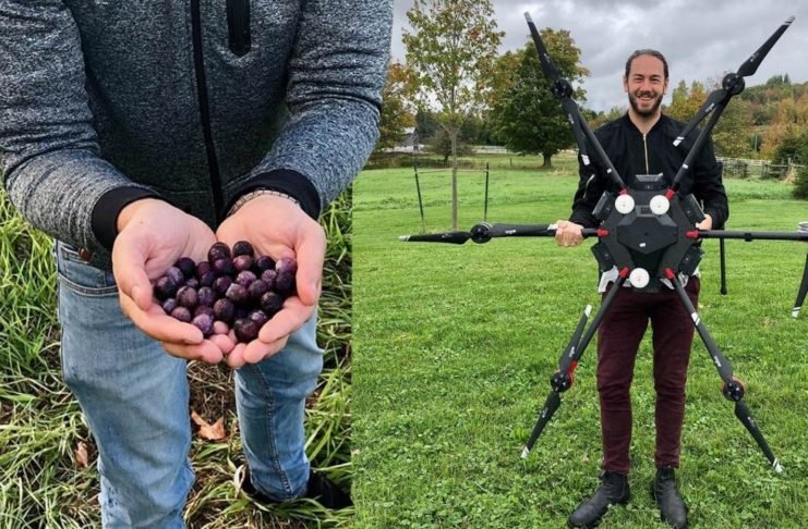 En Canadá Usarán Drones Para Plantar Mil Millones De Árboles
