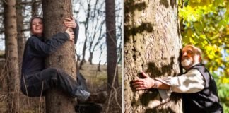 Las personas en Islandia abrazan los árboles para mejorar su salud mental