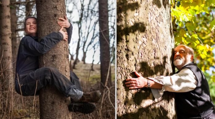 Las personas en Islandia abrazan los árboles para mejorar su salud mental