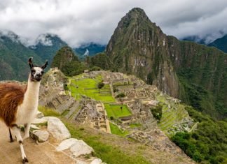 Si estás en los siguientes países, podrás viajar a Perú a partir del lunes.