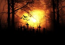 Recorre el primer cementerio general de Latinoamérica con The Freak Show y su tour virtual
