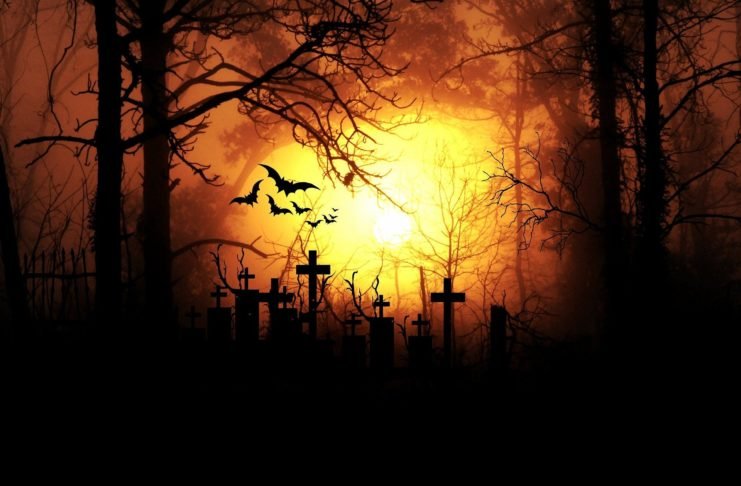 Recorre el primer cementerio general de Latinoamérica con The Freak Show y su tour virtual