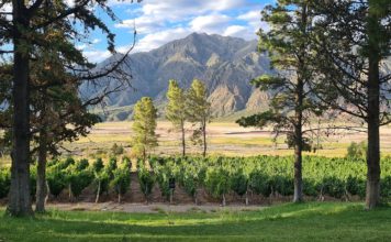 Descubre Mendoza, Argentina: una joya en medio de los Andes