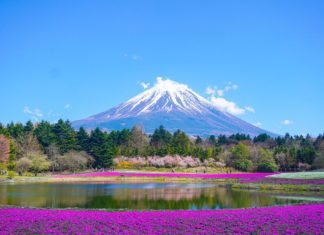 Explorando lo mejor de Japón: 10 lugares imperdibles que cautivarán tus sentidos